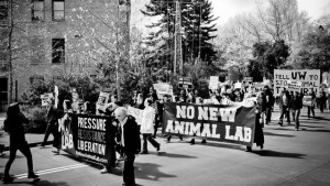 No New Animal Lab