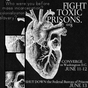 https://fighttoxicprisons.org