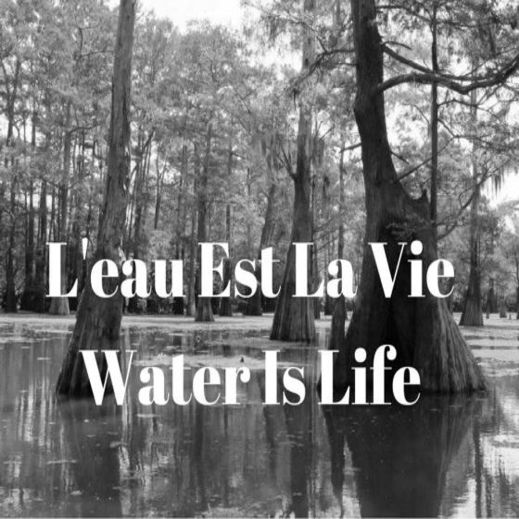 no-bayou-bridge-pipeline-an-interview-from-l-eu-est-la-vie-camp-the