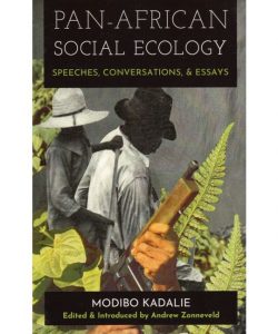 Book cover of "Pan-African Social Ecology"