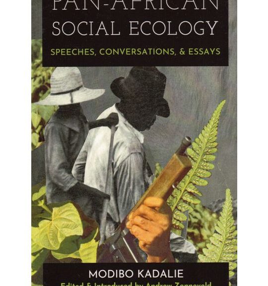 Book cover of "Pan-African Social Ecology"