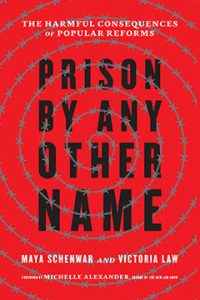 Book cover of first, hardback edition of "Prison By Any Other Name"