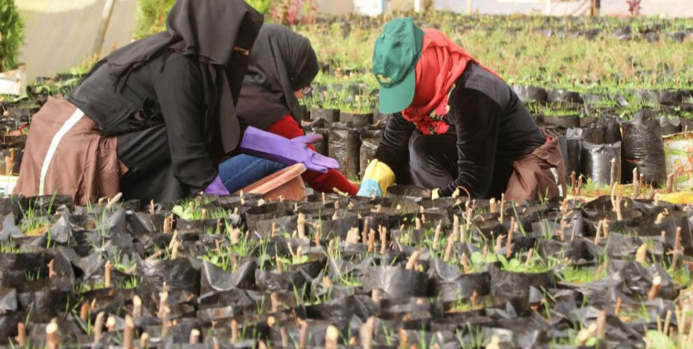 Women (including some in niqab) in Rojava tending a garden