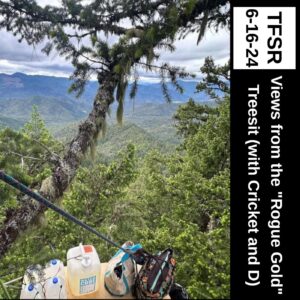 "TFSR 6-16-24 | Views From The 'Rogue Gold' Tree Sit (with Cricket and D) featuring a photo from 100 feet up in the Douglas Fir named Goldie