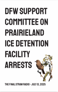 zine cover of "DFW Support Committee on Prairieland Ice Detention Facility Arrests | The Final Straw Radio - July 13, 2025" featuring a mockingbird on a mesquite branch